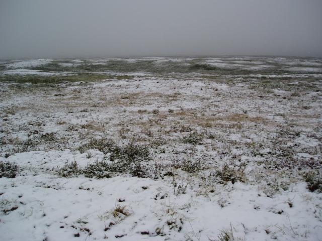 image Paisaje, Islandia