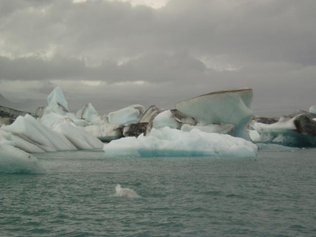 image Lago de Jökulsarlon, Islandia