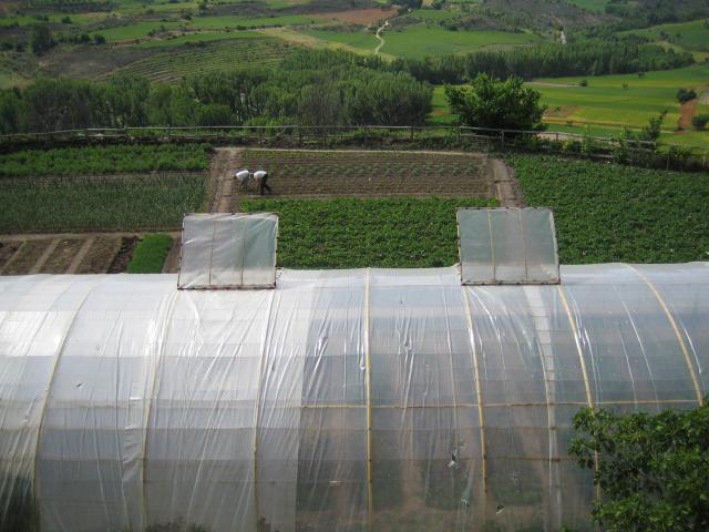 image Invernadero y campos en Brihuega, Guadalajara