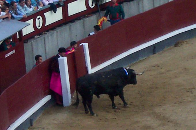 image Corrida de toros en Las Ventas, Madrid