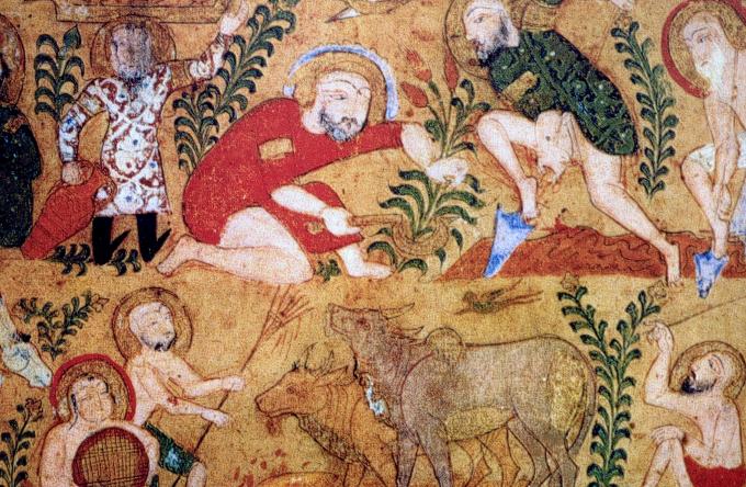 image Miniatura del Tratato árabe sobre plantas medicinales