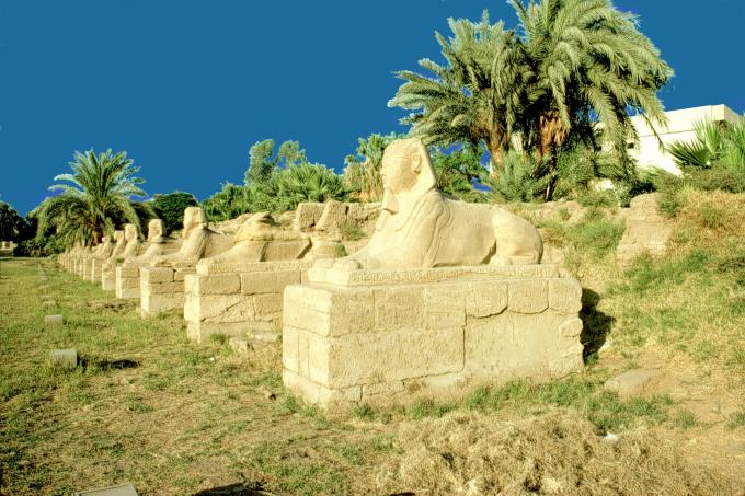 image Avenida de las Esfinges, Luxor, Egipto