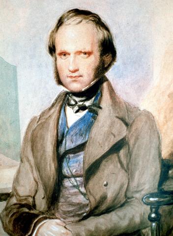 image Charles Darwin de George Richmond