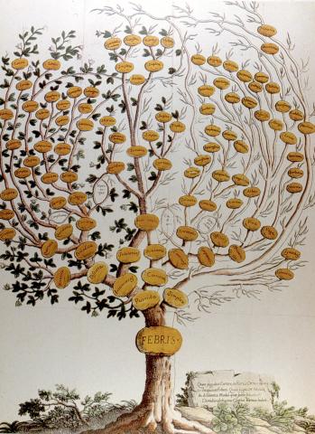 image Clases de fiebre