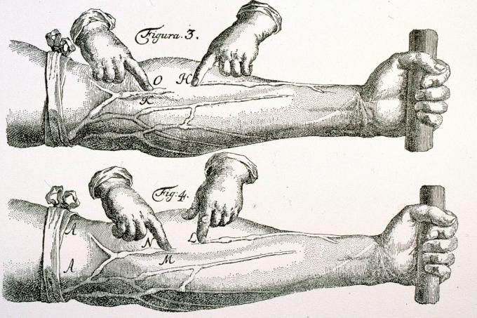 image Lámina sobre la circulación de la sangre, de Harvey