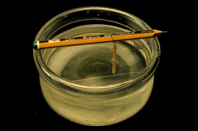 image Cristalización de sal común por evaporación del agua