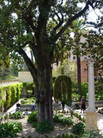 image Jardín de la Danza, Real Alcázar de Sevilla