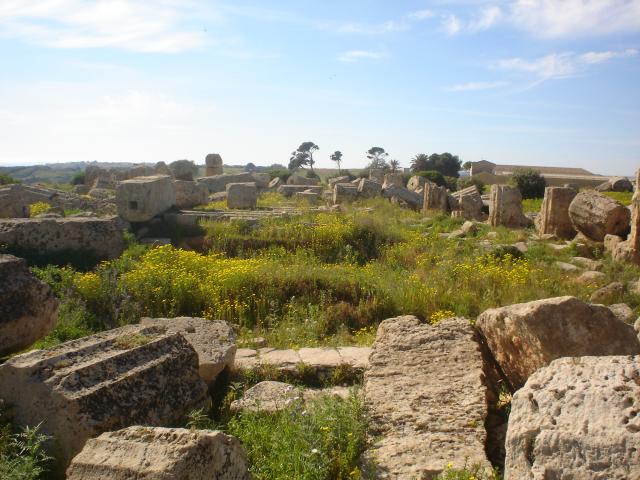 image Selinunte, Sicilia