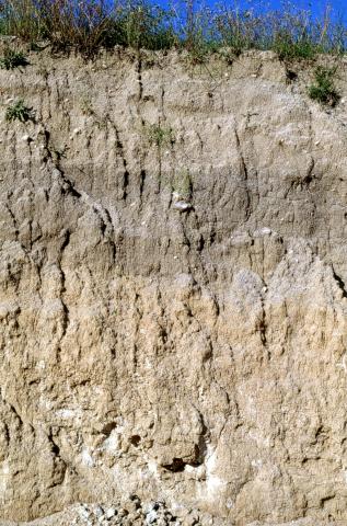 image Horizontes del terreno