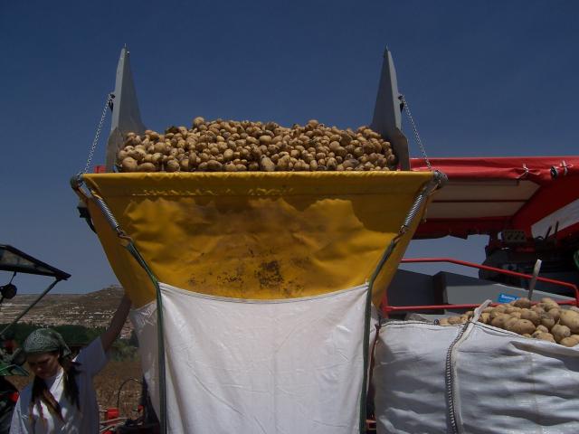 image Recolecta de patatas