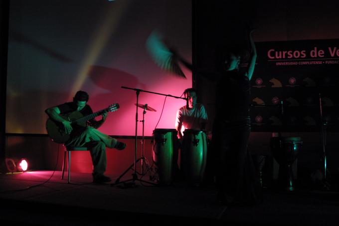 image Guitarrista y bailaora de flamenco