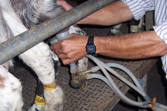 image Colocando succionador