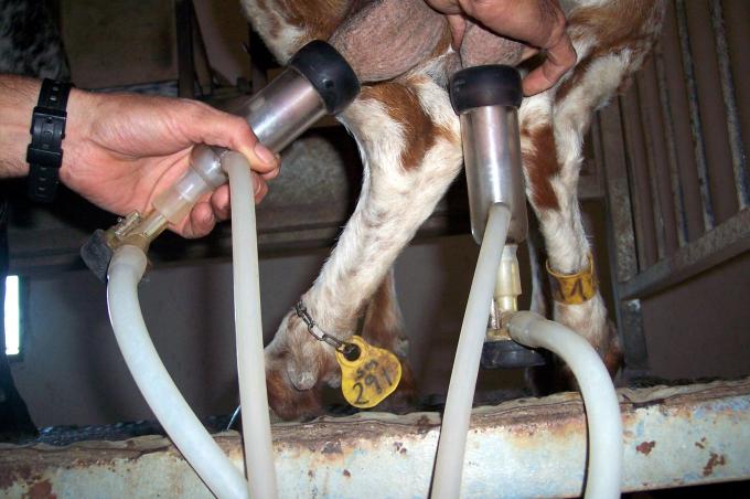 image Colocando succionador