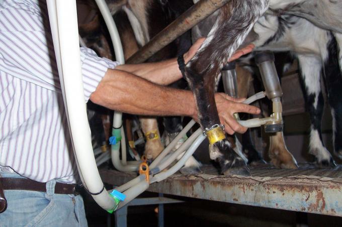 image Colocando succionador