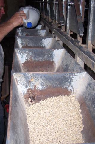 image Preparando cebadero