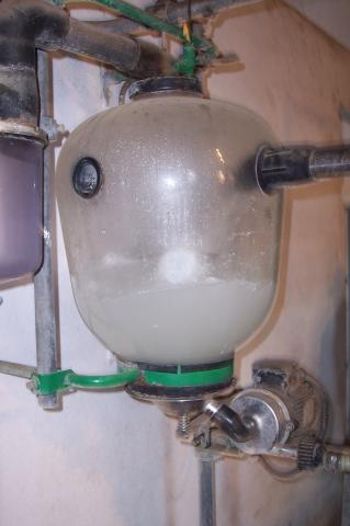 image Receptora de leche