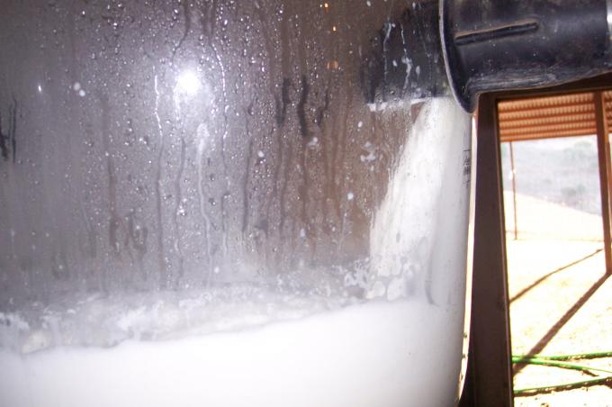 image Receptora de leche