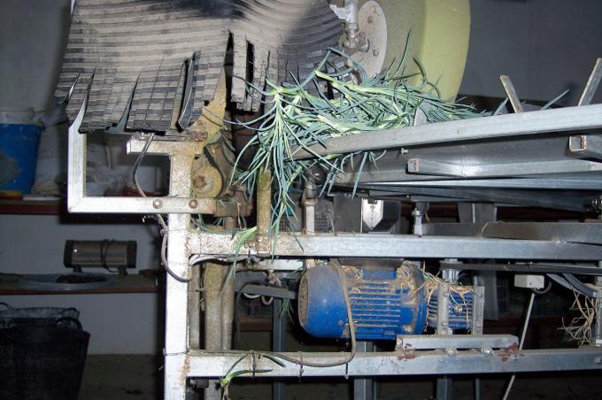 image Clasificadora cortadora