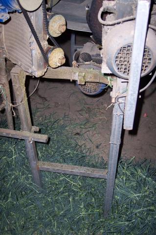 image Clasificadora cortadora