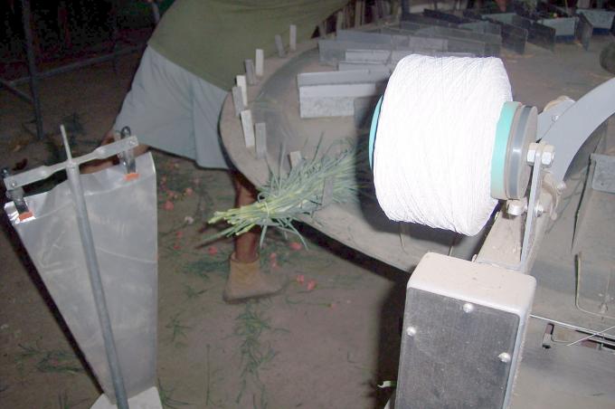 image Clasificadora cortadora