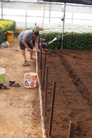 image Haciendo casillas con azadón