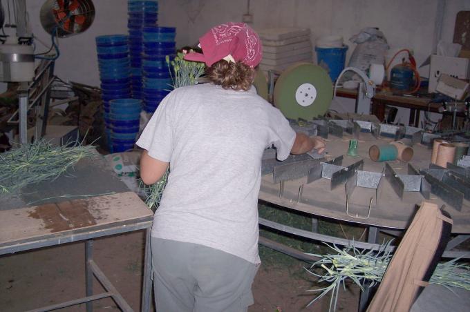 image Haciendo ramos