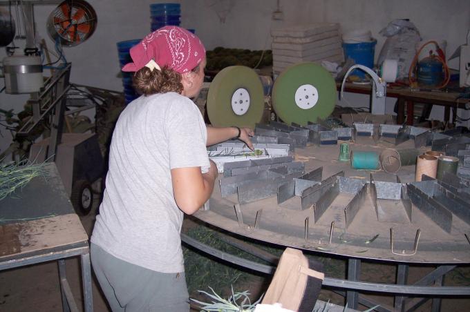 image Haciendo ramos