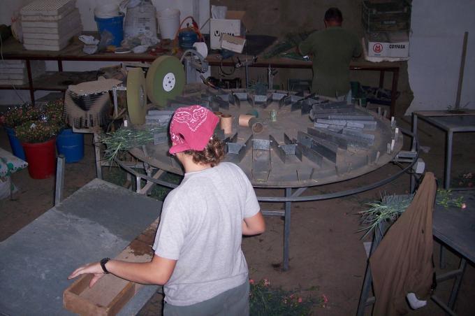 image Haciendo ramos