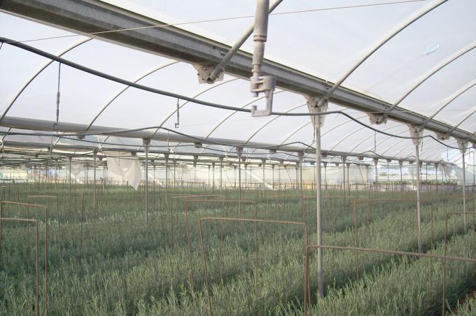 image Panorámica invernadero