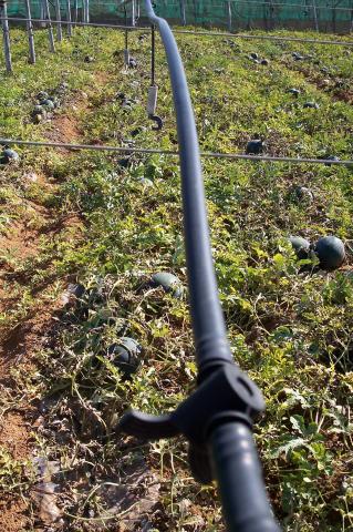 image Tubo de riego por difusión