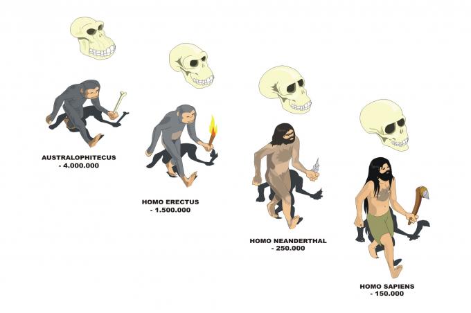 ilustracion Evolución del ser humano: desde el Australophitecus hasta el Homo Sapiens