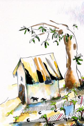 ilustracion Los viajes de Gulliver: Gulliver se ha construido una casa