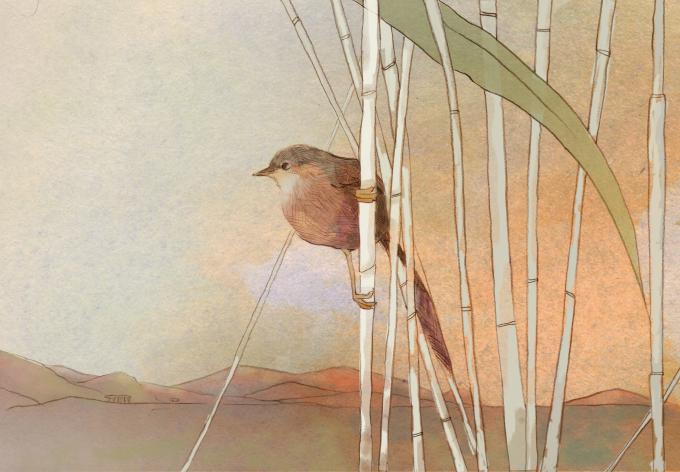 ilustracion Poesía de Lope de Vega: En las mañanicas del mes de mayo