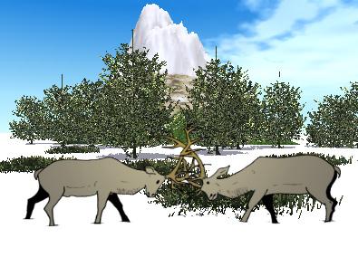 ilustracion Ciervos macho en celo