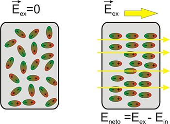 ilustracion Campo en el interior de un dieléctrico