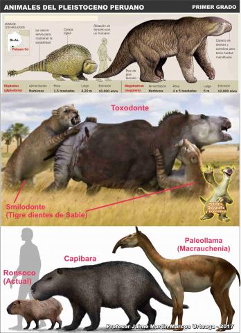 ilustracion Animales del Pleistoceno en el Perú