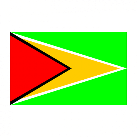 ilustracion Guyana
