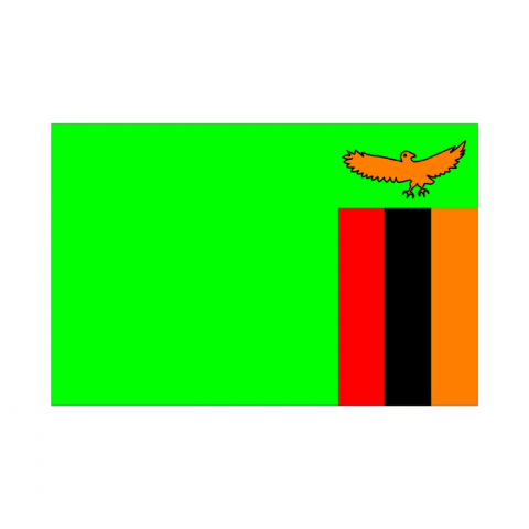 ilustracion Zambia