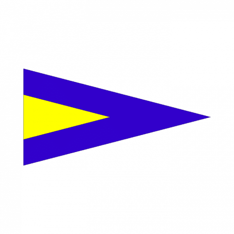 ilustracion 2º Repetidor