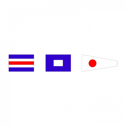 ilustracion CS - ¿ Cual es el nombre o numeral de su buque ?