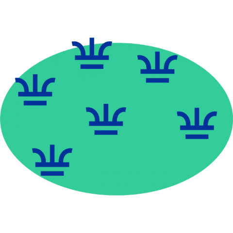 ilustracion Ciénaga