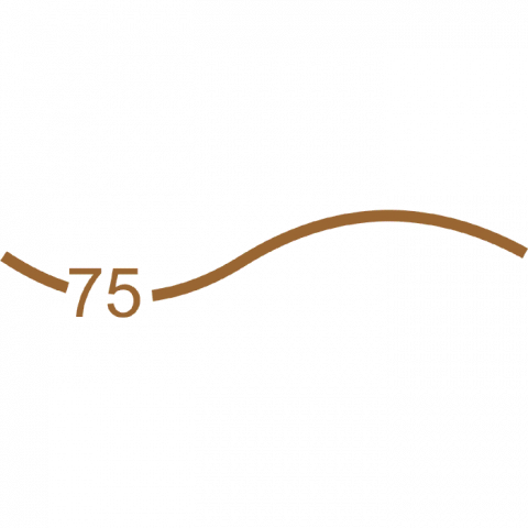 ilustracion Líneas de desnivel intermedias (cada 25 m)