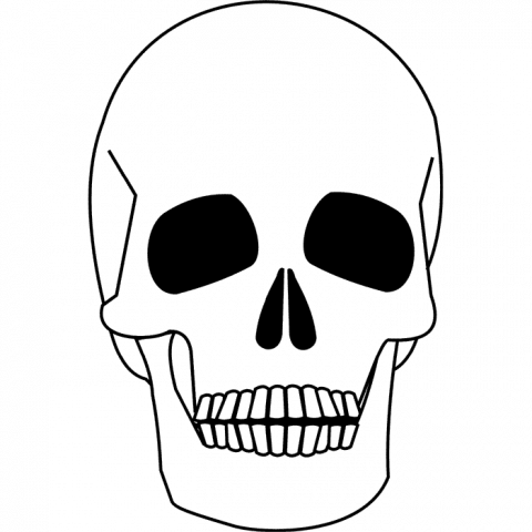 ilustracion Calavera