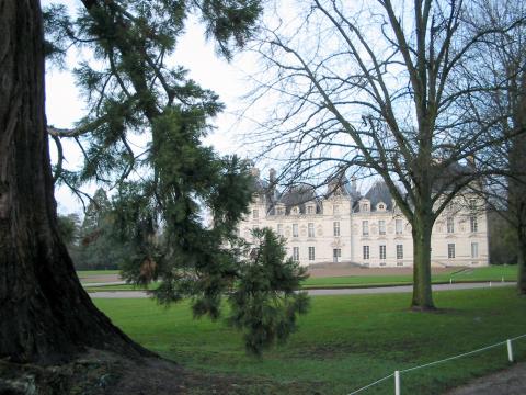 image Castillo de Cheverny