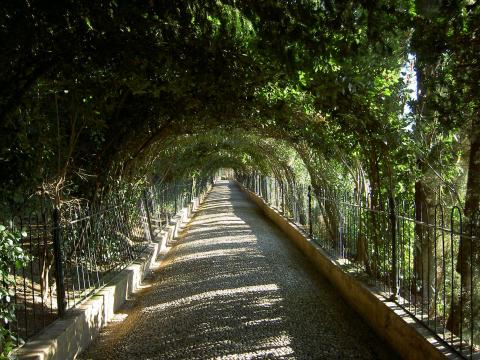 image Paseo de las adelfas en los Jardines del Generalife (Granada)