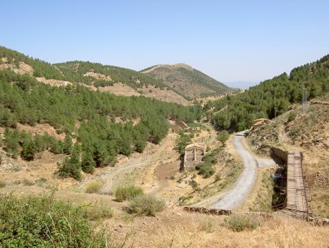 image Sendero de las Menas, Almería (España)