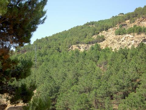 image Sendero de las Menas, Almería (España)
