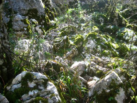 image Paraje natural del Torcal de Antequera, Málaga (España)