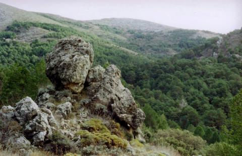image Vereda de los Alayos, Granada