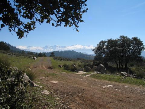 image Vereda de los Alayos, Granada